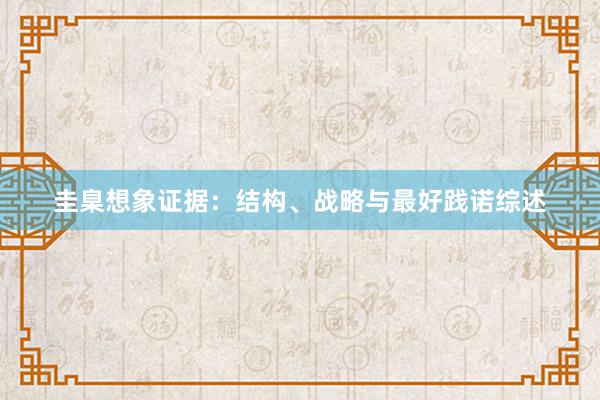 圭臬想象证据：结构、战略与最好践诺综述