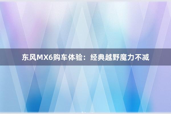 东风MX6购车体验：经典越野魔力不减